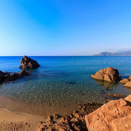 A 10 Min De La Croisette - Pieds Dans La Mer Cannes Zewnętrze zdjęcie