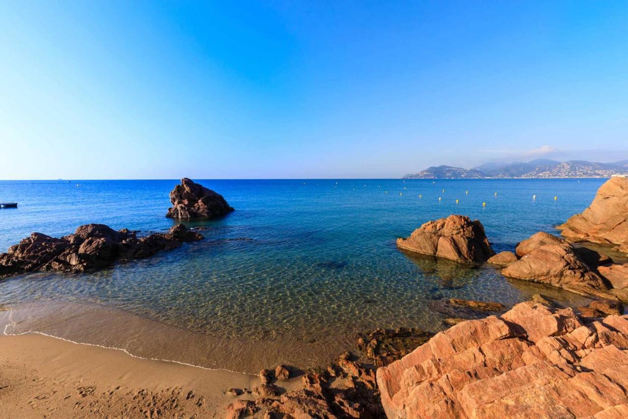 A 10 Min De La Croisette - Pieds Dans La Mer Cannes Zewnętrze zdjęcie
